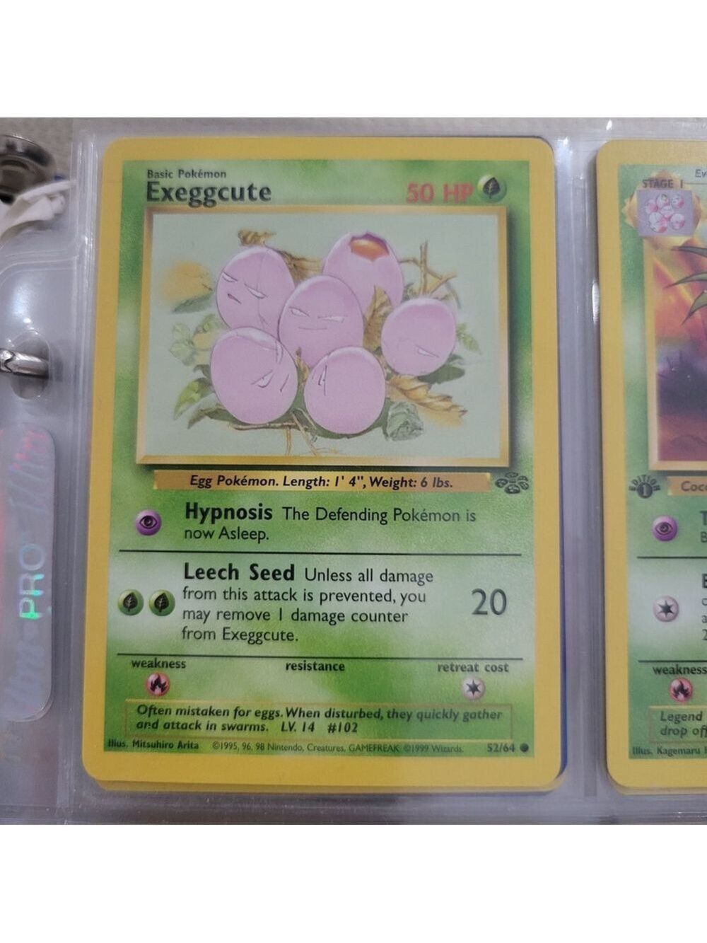 Pokemon Exeggcute Card